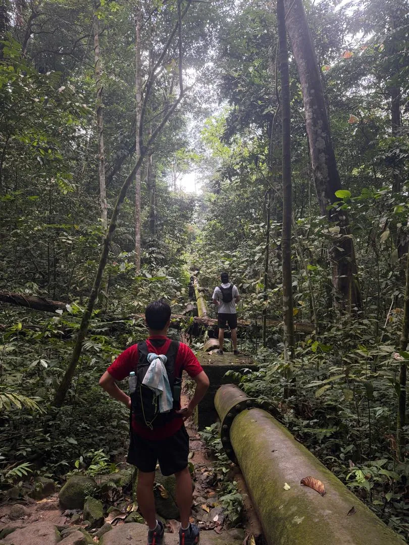 Hiking